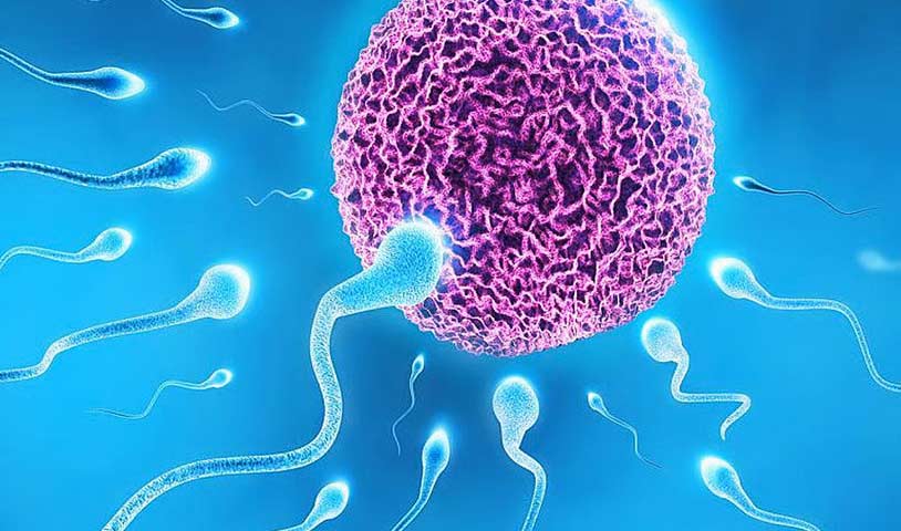 Health shocker: “Inadequate sex can also cause infertility,” Dr. Isaac Tetteh reveals!