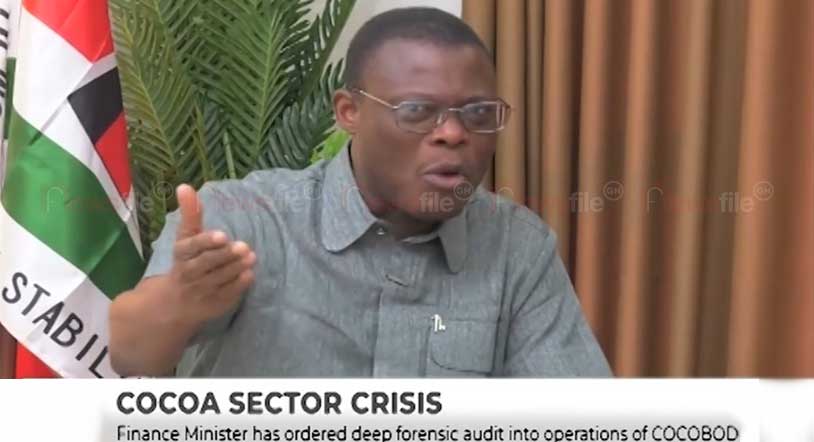 Cocoa sector crimes won’t go unpunished – Fifi Kwetey