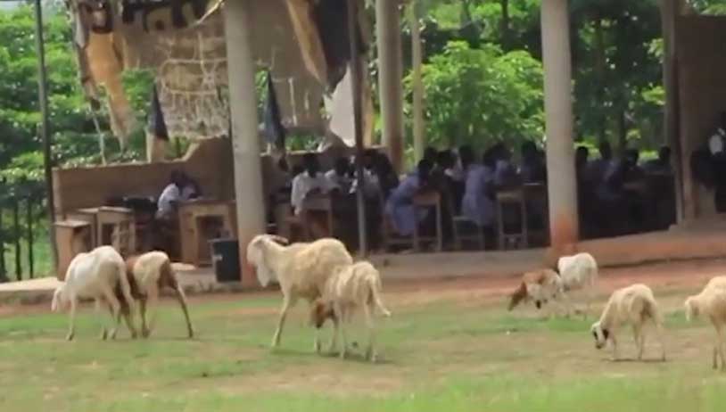 Unsafe school structures leave Danyaseman R/C SHS students exposed, demanding urgent government intervention now