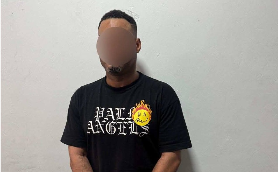 Adwoa Safo’s brother, 2 others arrested over shooting incident