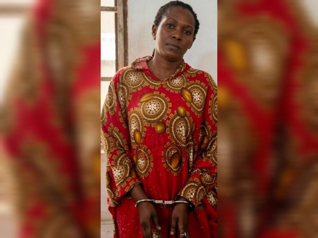 Tik Toker jailed for false news on Mahama